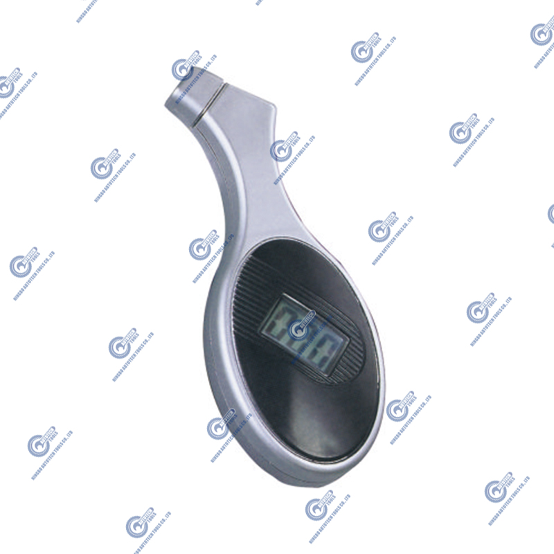 DTG-04 디지털 타이어 게이지 (5-100 psi)